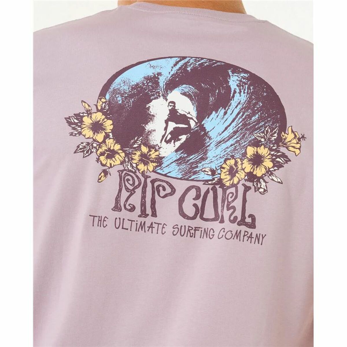 V4H5EB7BA87302C036BD1E3BF0178D08B75R6081739P5