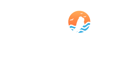 SurfScanner